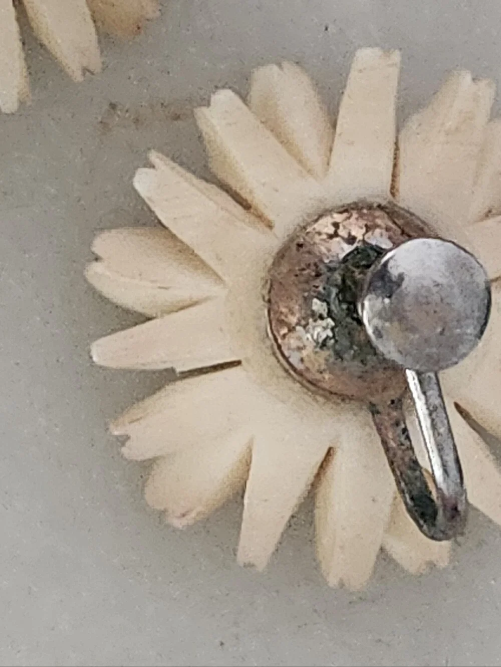 White and Yellow Daisy Screw Back Earrings - Vintage